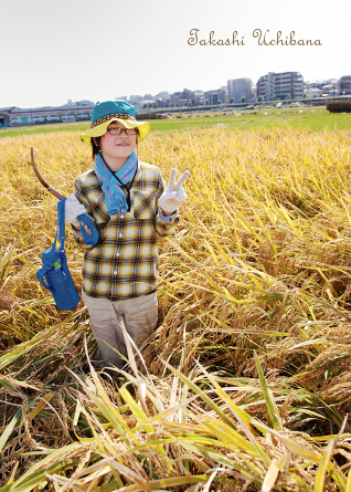 田んぼ 秋 米作り 稲刈り 無農薬 有機栽培 育てる 作る
