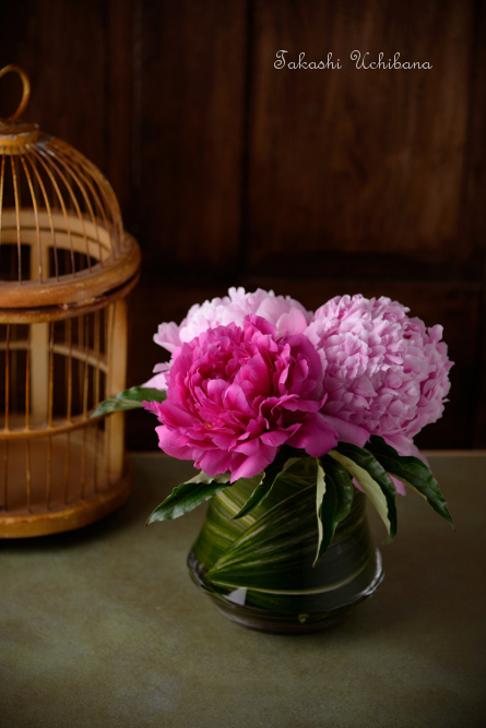 芍薬 シャクヤク 母の日 飾り方 ガラス製花器 アジアンモダン
